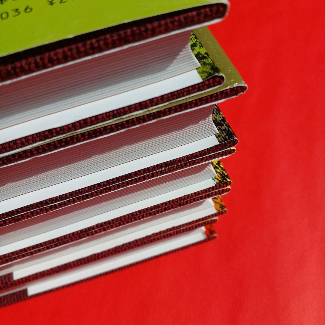 M*l様 ヒマラヤ聖者の生活探求