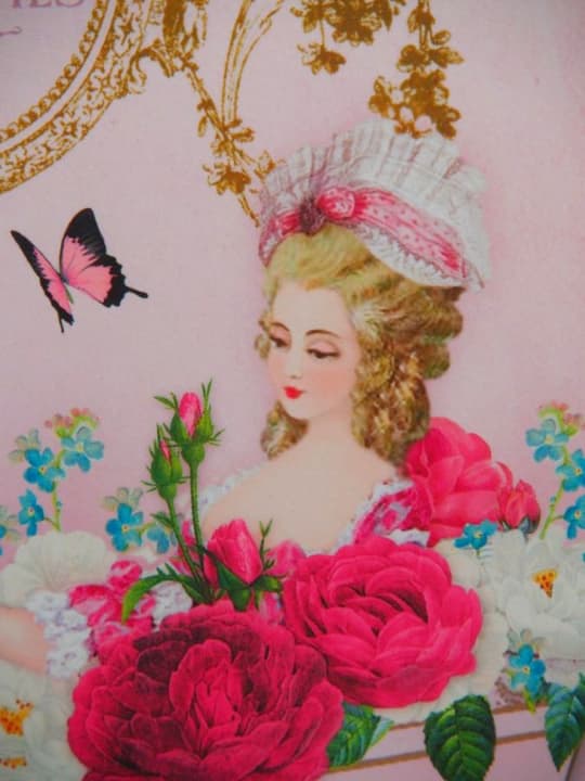 値下げしました !!   マリーアントワネット金額縁