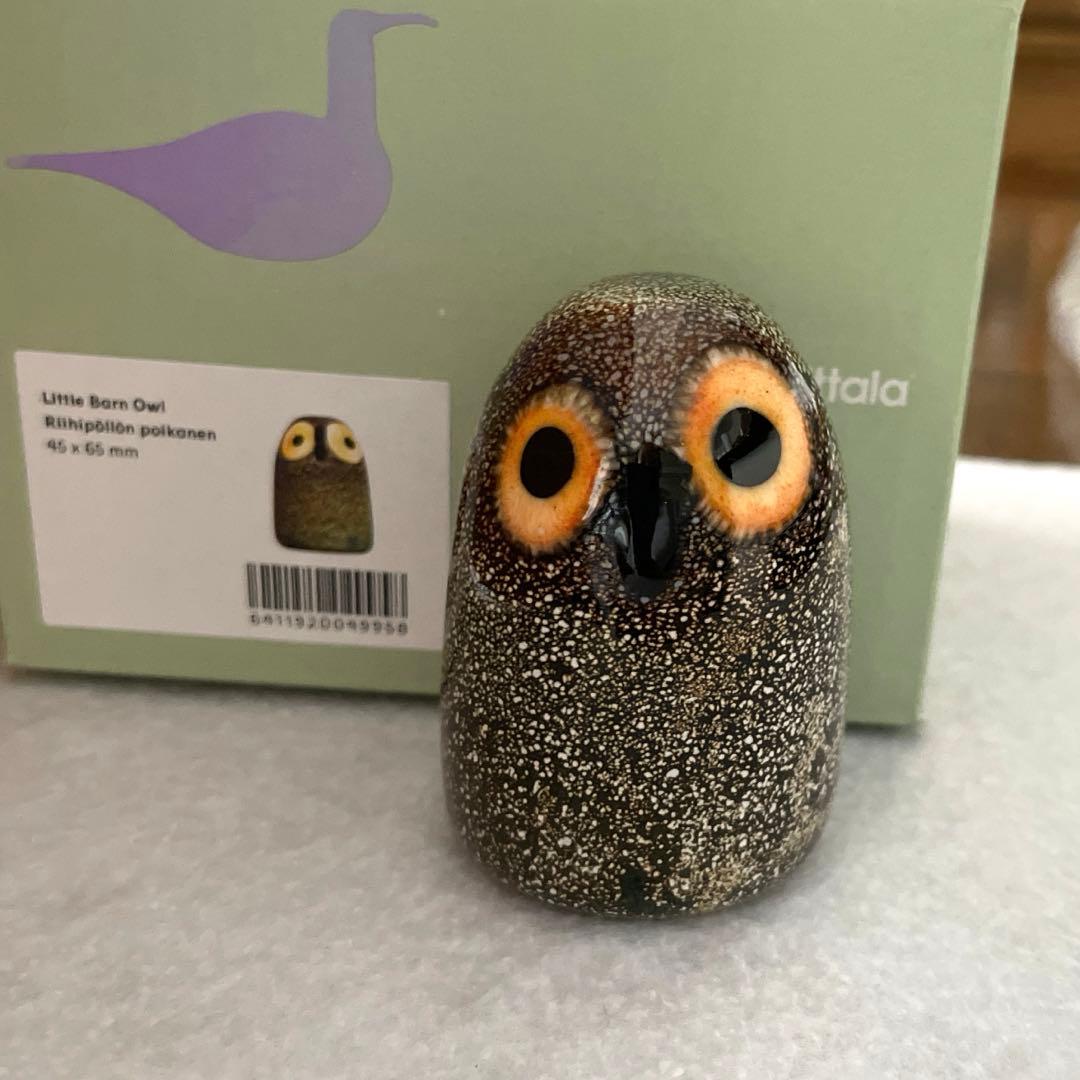 リトルバーンオウル　イッタラ