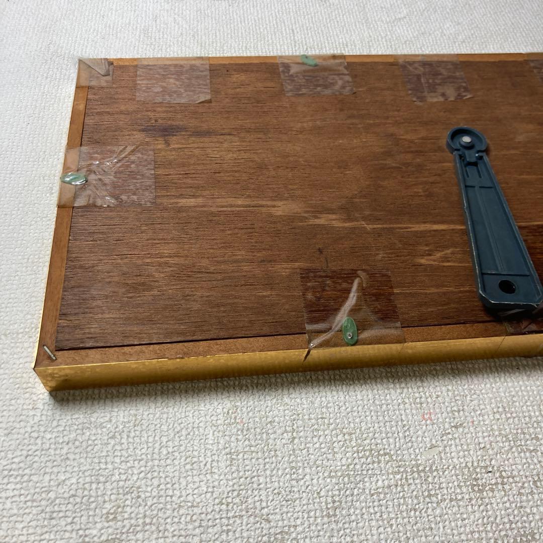 蝶の標本コレクション