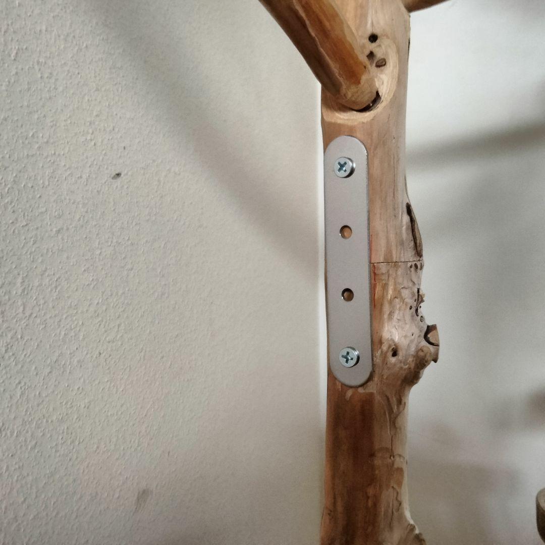 ET バードアスレチックジム 天然木 自然木 流木 止まり木 インコ