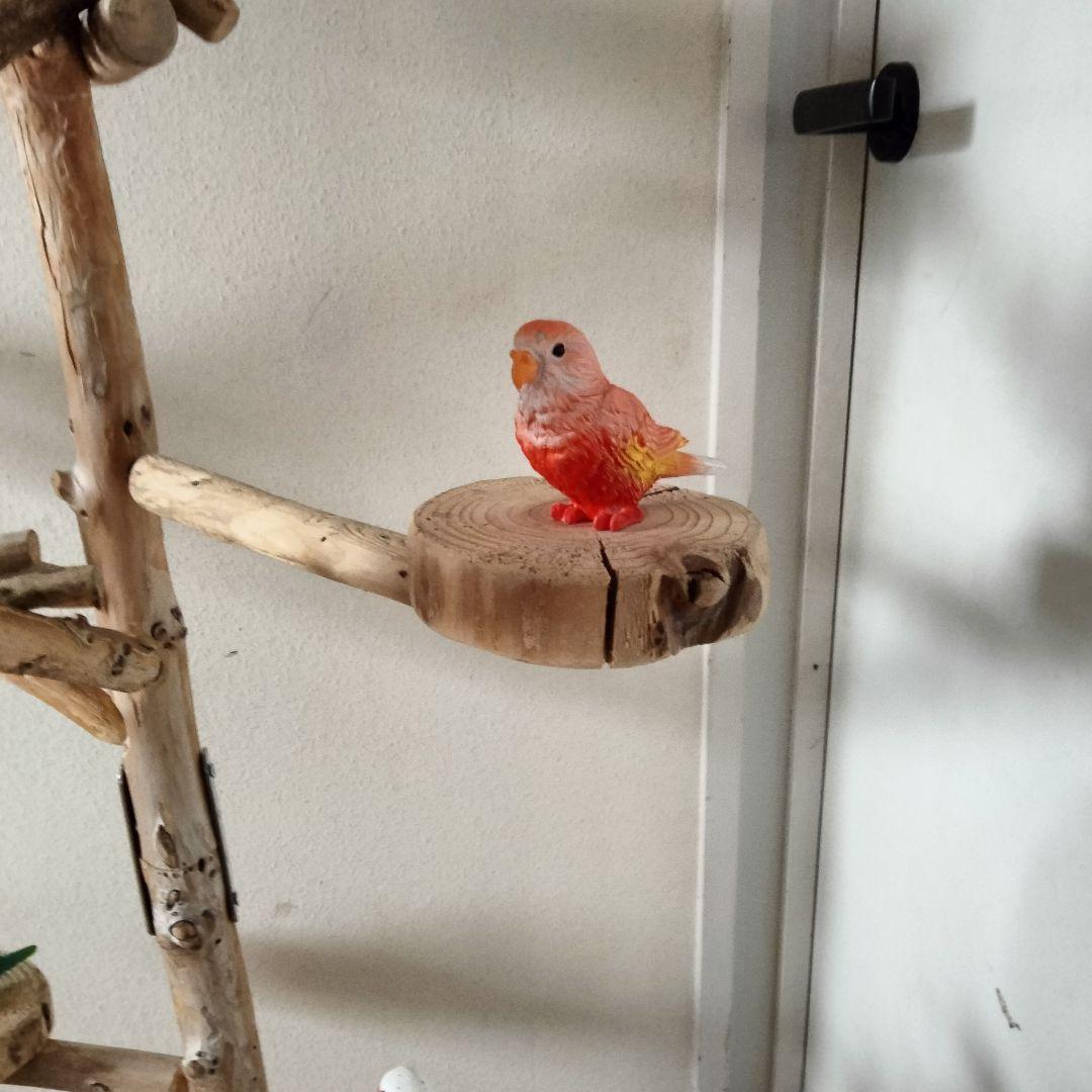 ET バードアスレチックジム 天然木 自然木 流木 止まり木 インコ