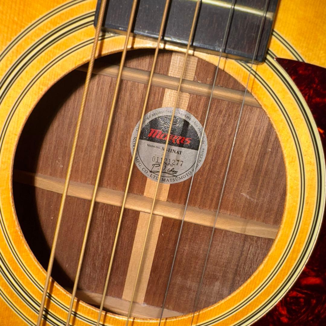 Morris アコースティックギターM-11NAT