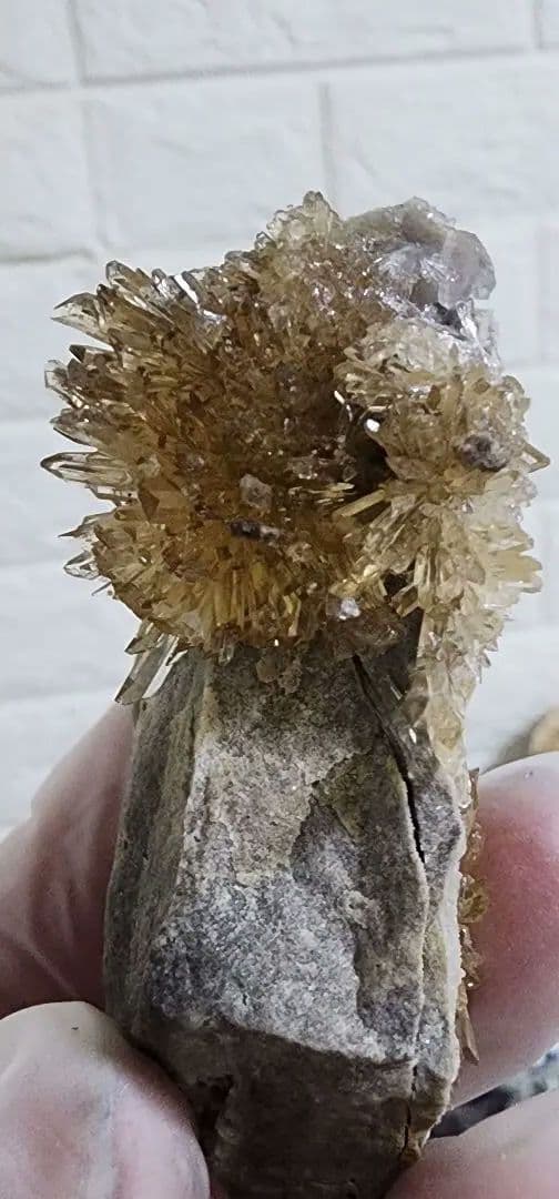 モロッコ産アラゴナイトの花　 (　花火 )