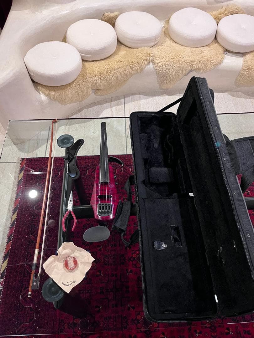 NS Design WAV4 エレキバイオリン サイレントバイオリン