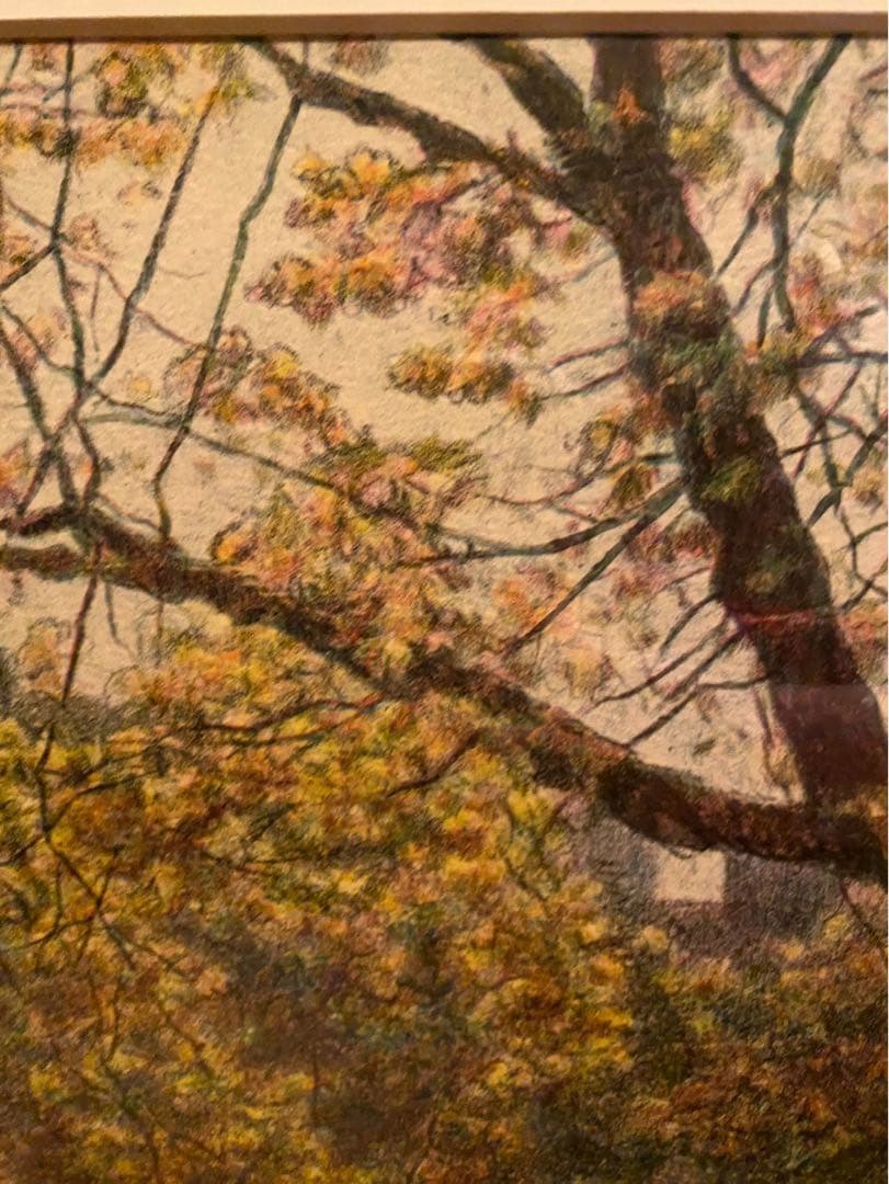 ハロルド アルトマン マロニエのある公園 インテリア アート 額縁