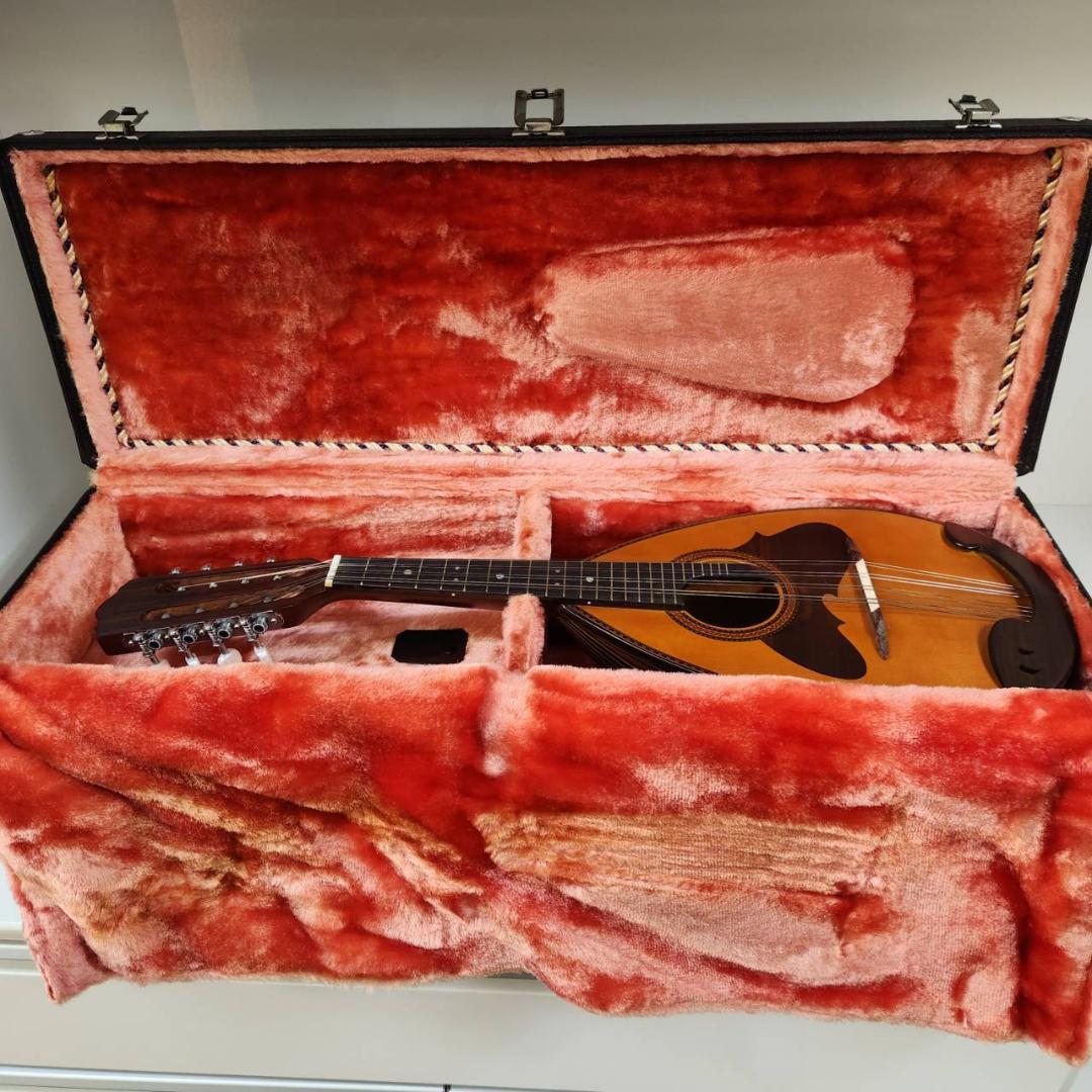 ★鈴木バイオリン　マンドリン　No.M-218　1974年製　スズキ