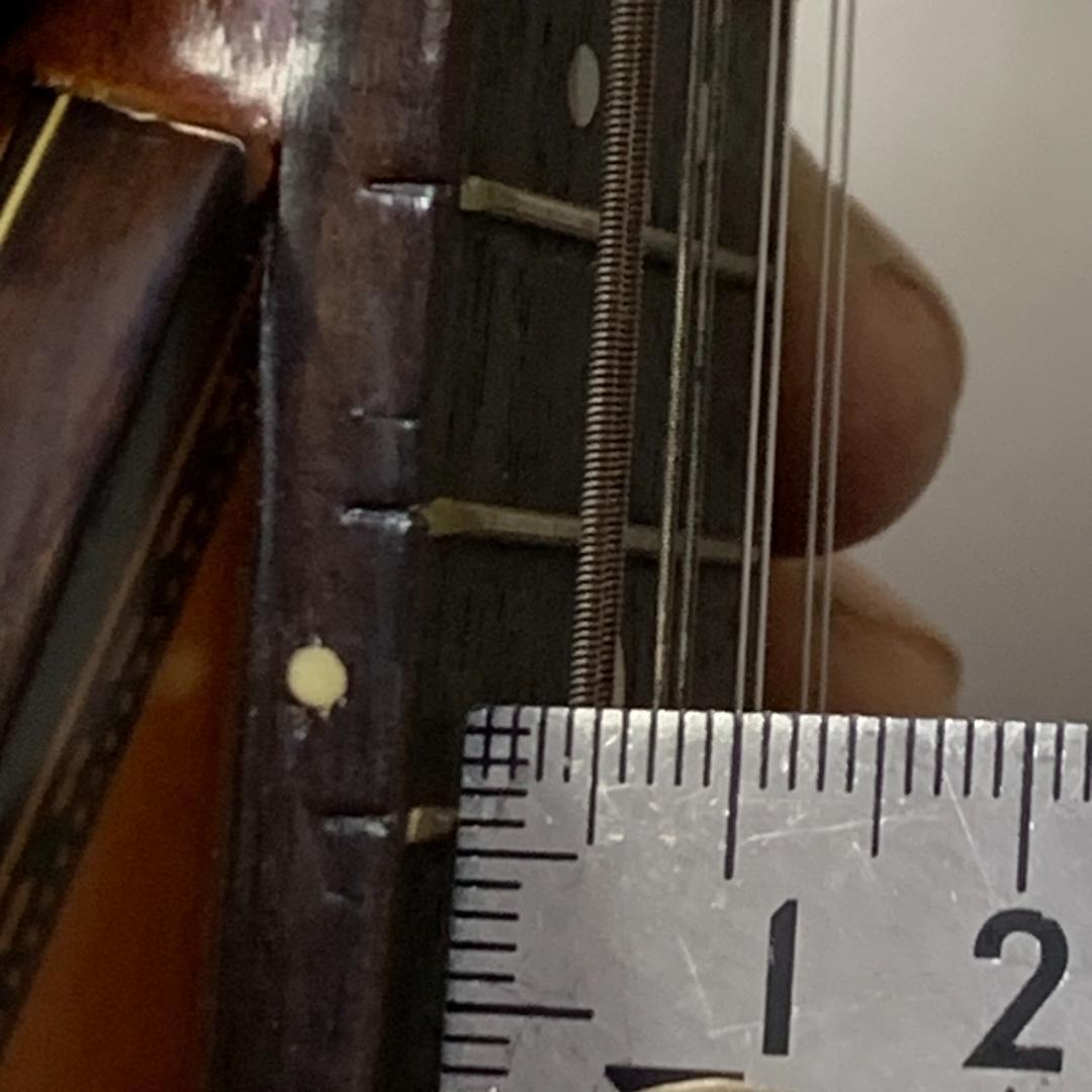 ★鈴木バイオリン　マンドリン　No.M-218　1974年製　スズキ