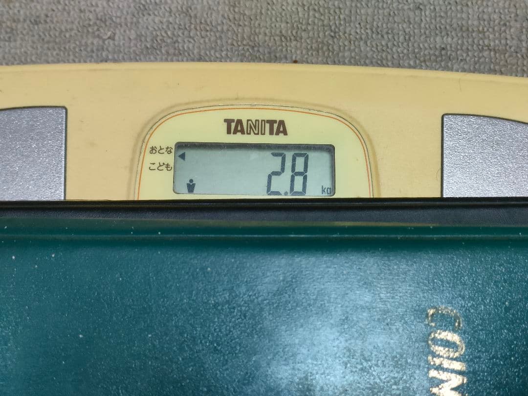 外国まとめ　アルバム　約15kg　外貨　外国硬貨　　硬貨　古銭