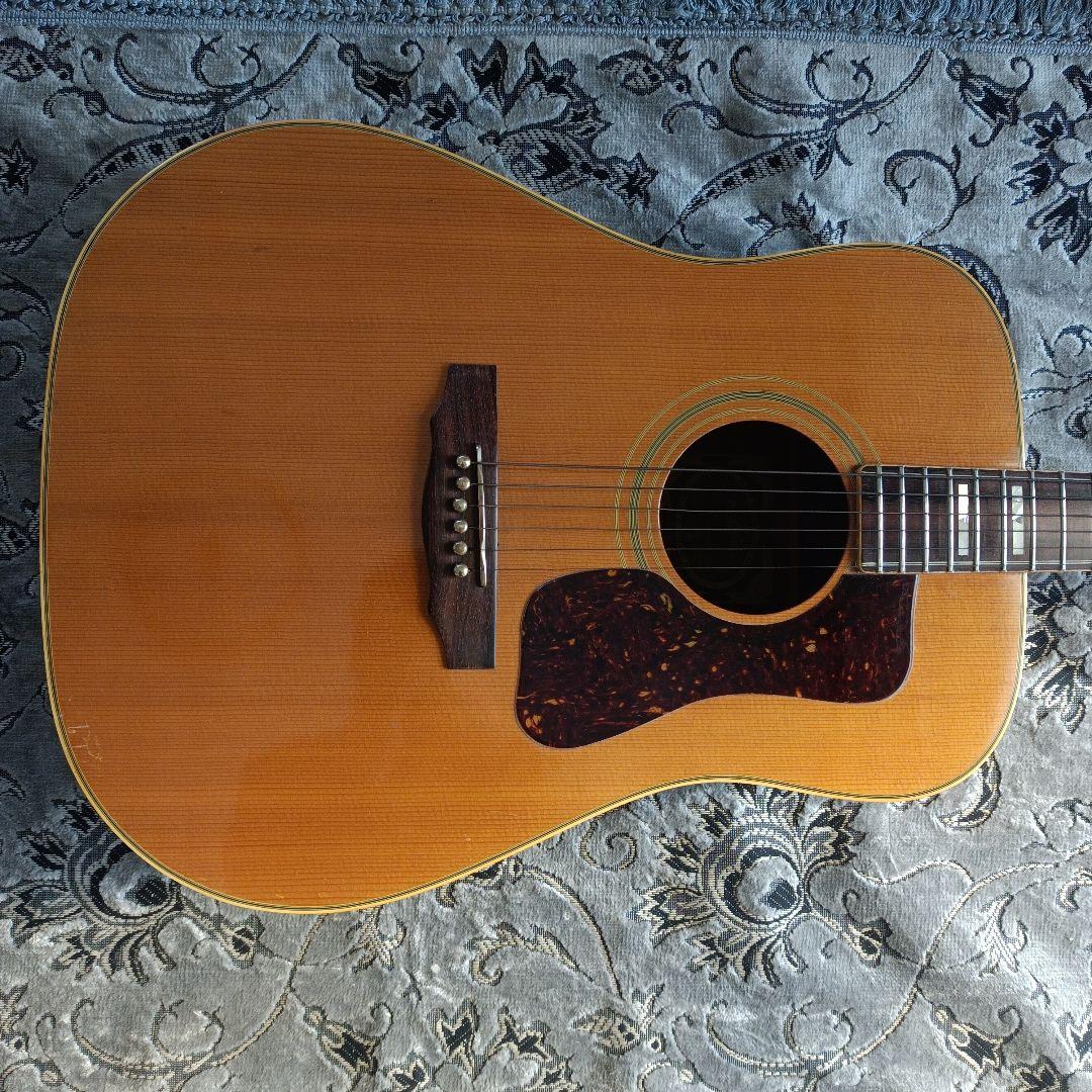 コンプリートＤ-55モデル Aria GL-500 積層ネック 本アバロン貝