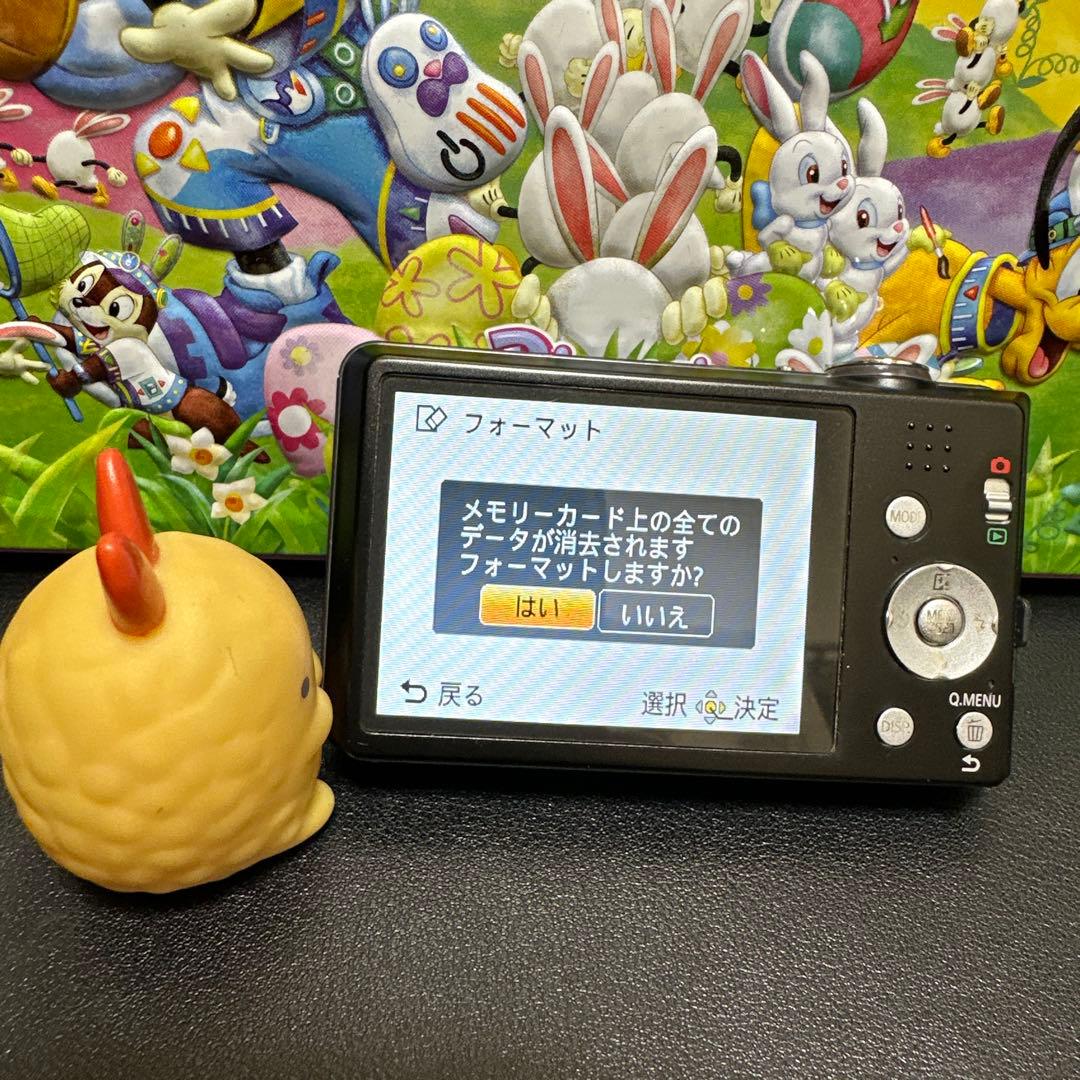 Panasonic LUMIX DMC-FH5 動作確認済　中古良品