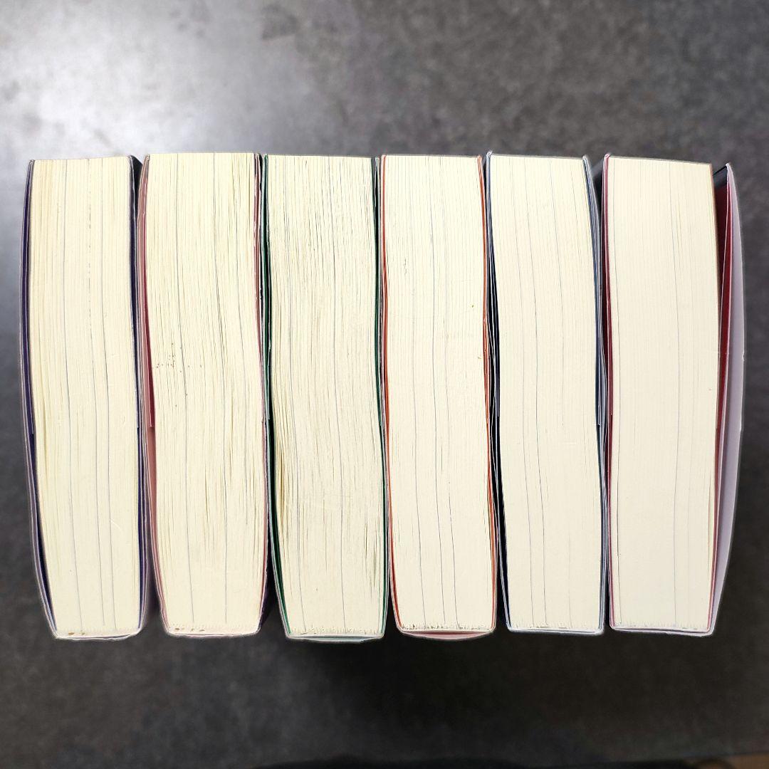 小説「二哈和他的白猫師尊」第1巻〜第6巻 日本語