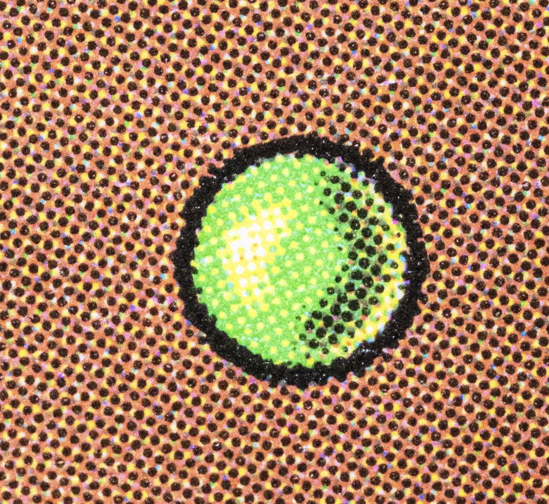 宝革スリヴァー/Gemhide Sliver 拡張アートfoil SLD 英語