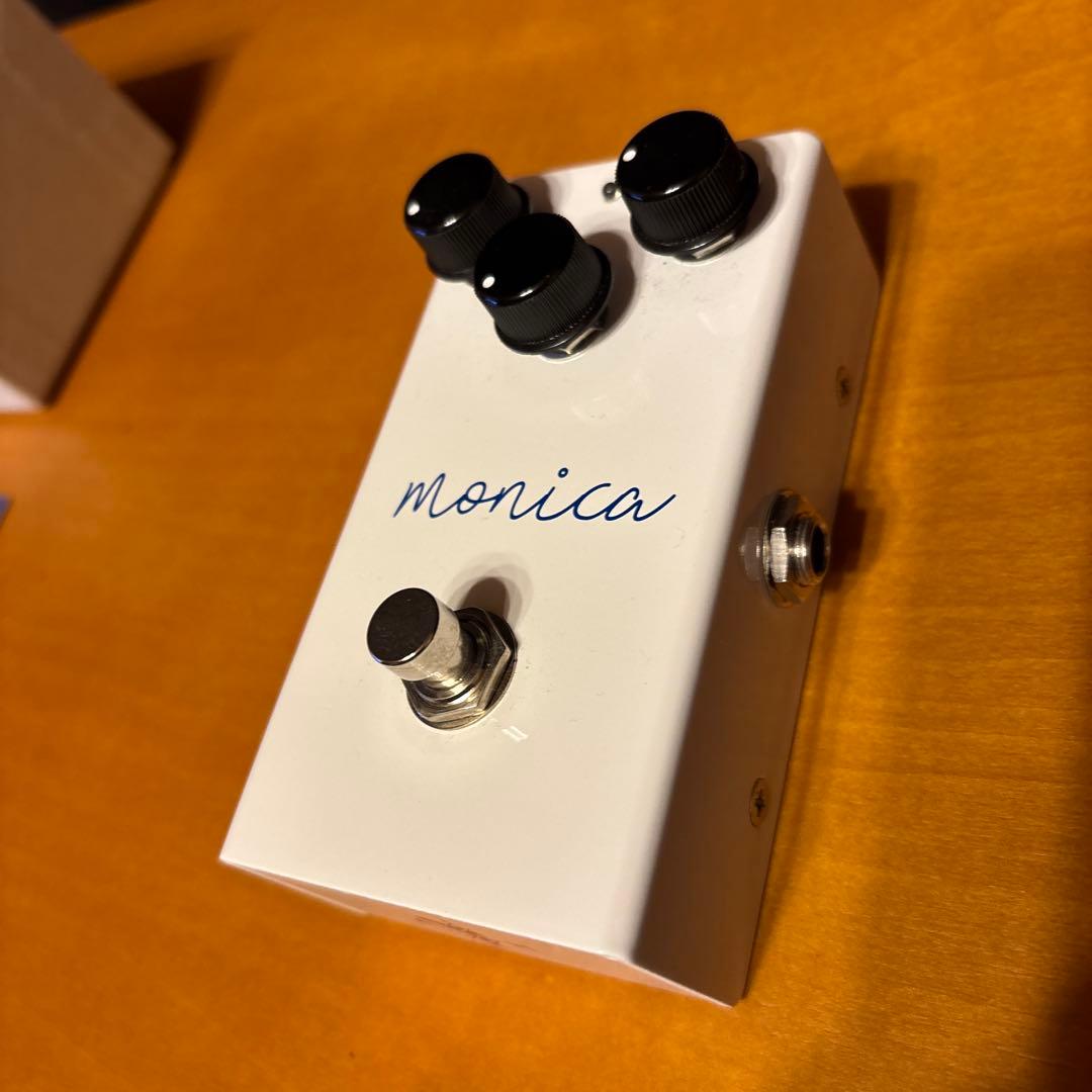 【美品】VIRTUES monica assh 内側サイン入り 写真あり