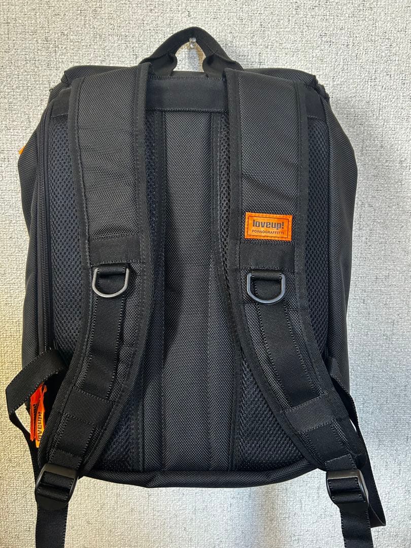 ポルノグラフィティ　リュック　15周年