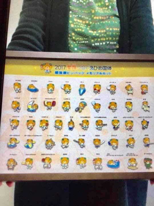 2017愛媛国体ピンバッチ