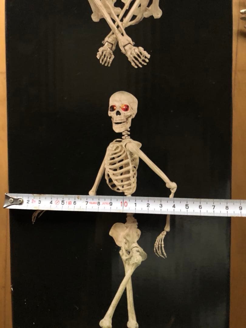 等身大　ガイコツ　スカル