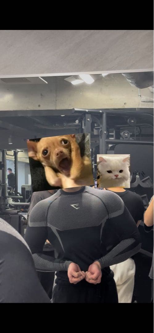 トップス  ONYX 5.0 SEAMLESS BLACK/grey