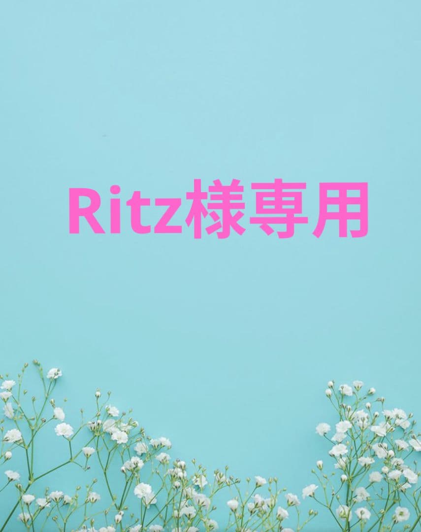 ドッグフード Ritz