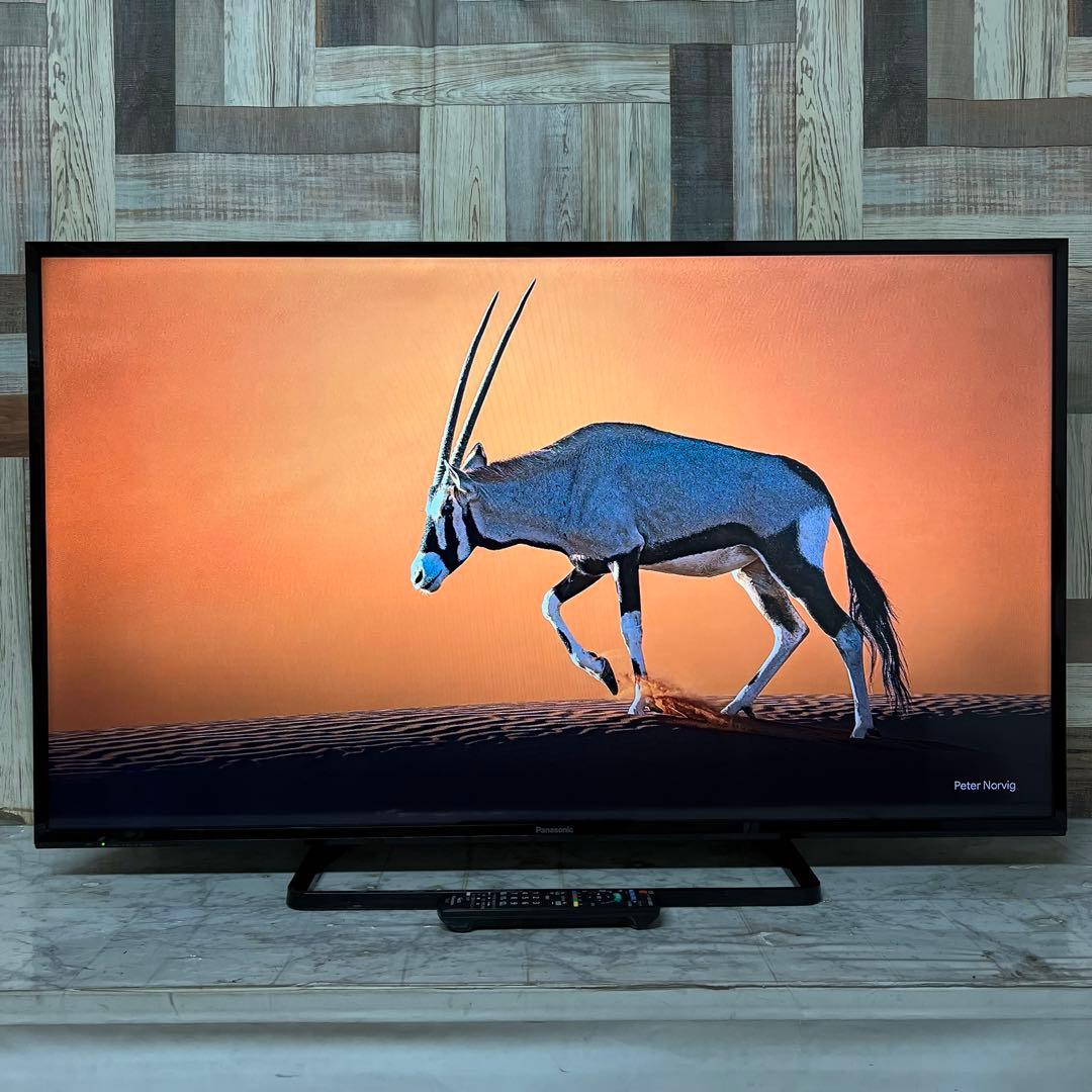 即日受渡❣️全国送料込パナソニックVIERA49V型テレビ地上デジタルBS CS