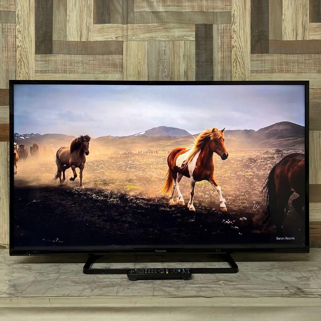 即日受渡❣️全国送料込パナソニックVIERA49V型テレビ地上デジタルBS CS