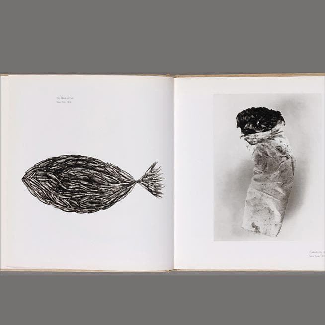 芸術写真 Still Life | Irving Penn