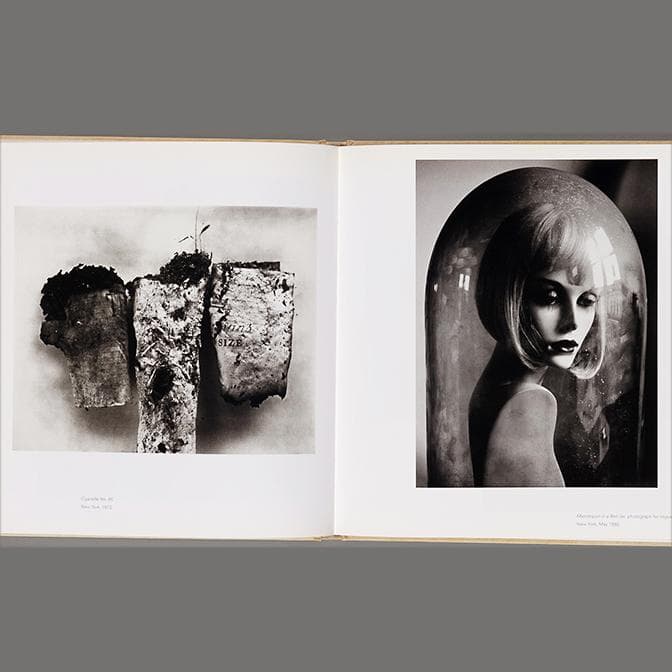 芸術写真 Still Life | Irving Penn