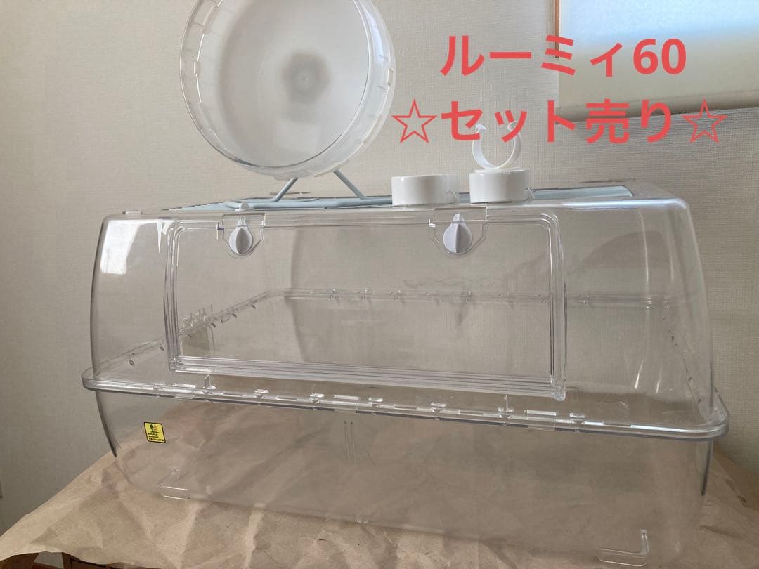 ルーミィ60 まとめ売り