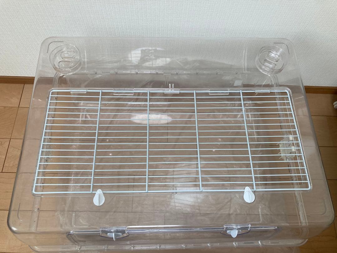 ルーミィ60 まとめ売り