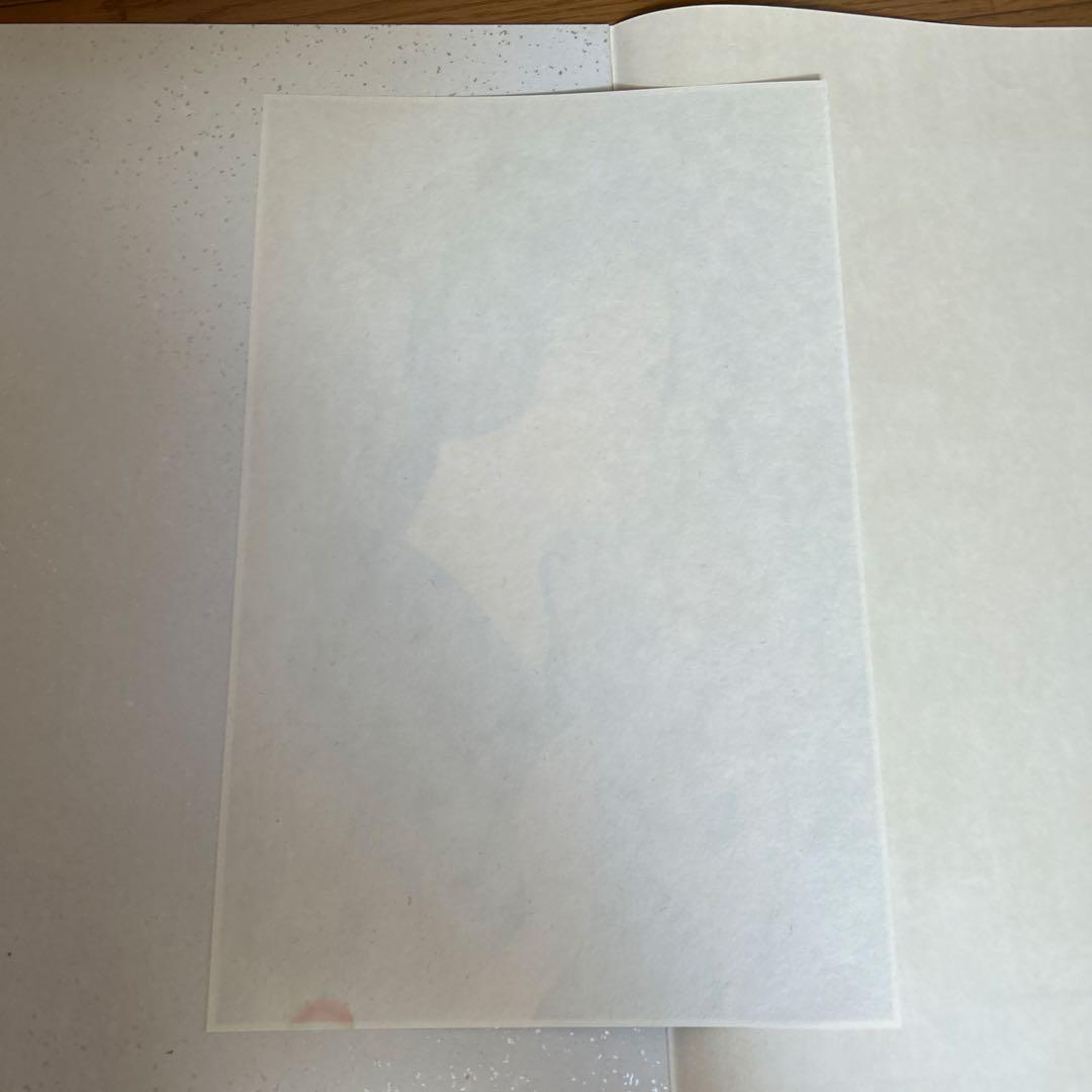 最終値下げ 橋口五葉　図録　大正の女　復刻版画　10点　共同通信