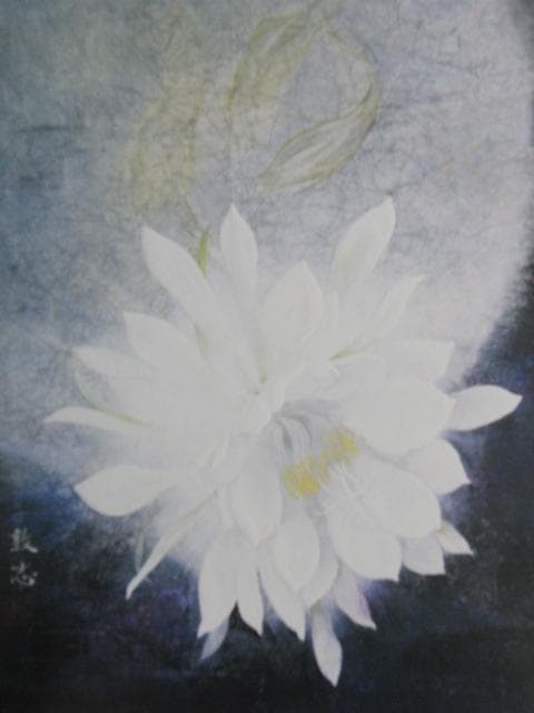 江川敦志、【月下美人】、希少な額装用画集より、新品額装付、状態良好