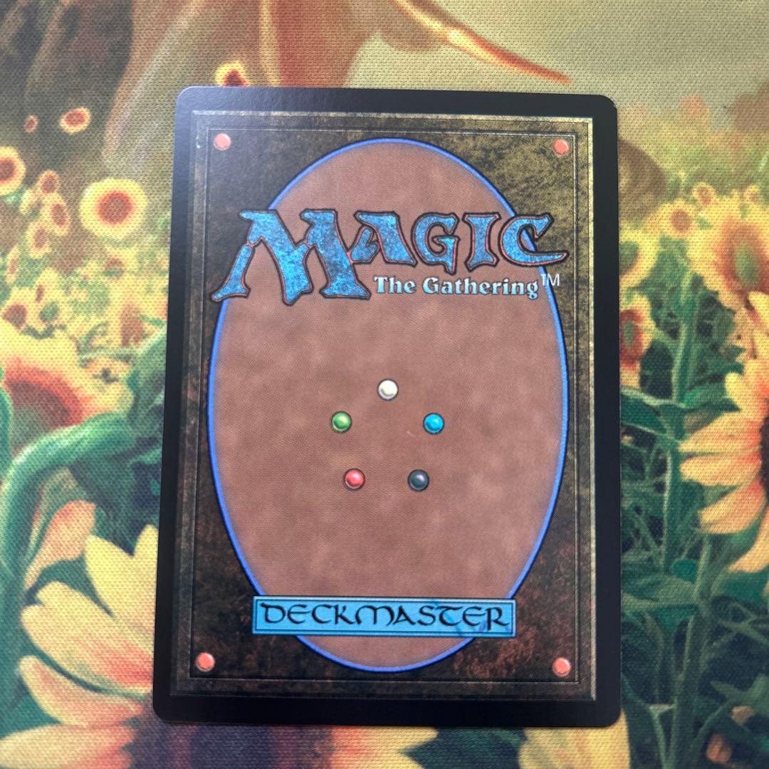 MTG 迷える黒魔道士、ビビ　拡張　日本語