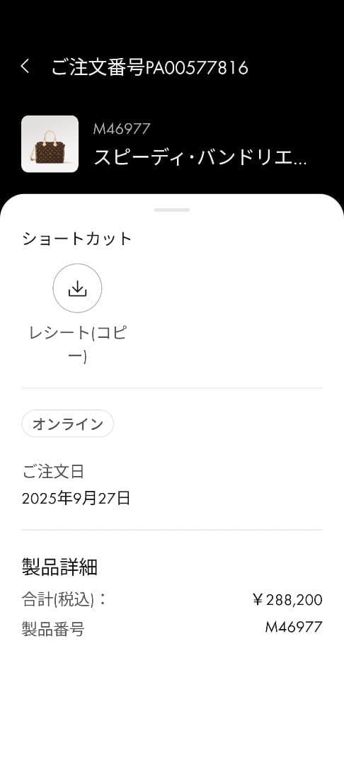 Louis Vuitton ショルダーバッグ　スピーディ・バンドリエール25