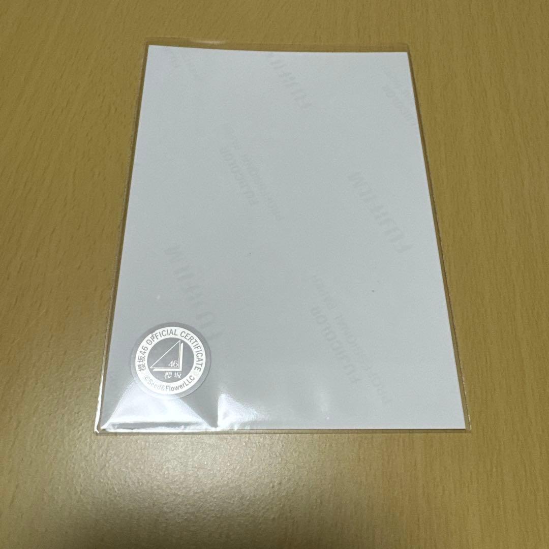 櫻坂46 松本和子 【 2025年 サンタ衣装（直筆サイン入り）】 座り 1枚