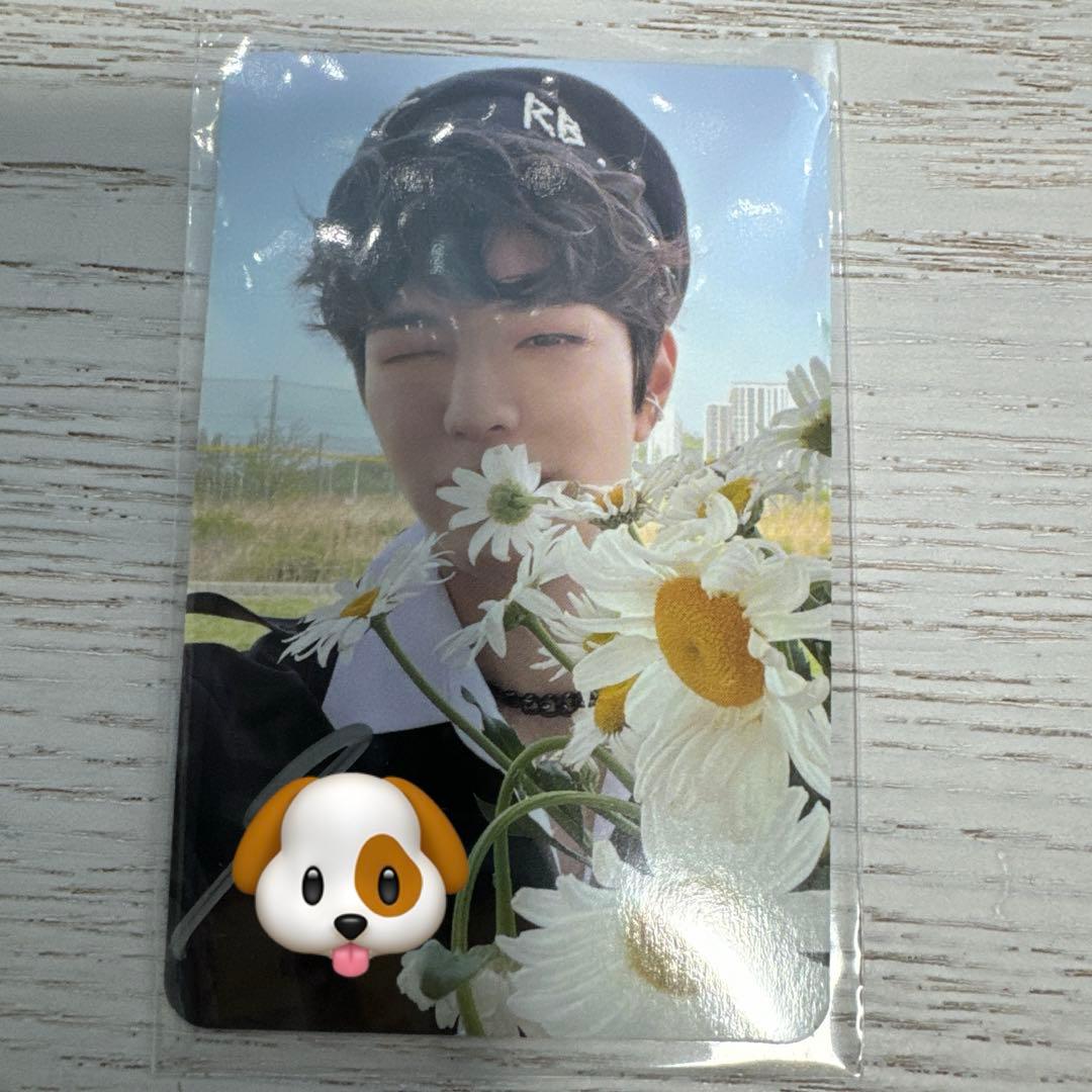 スキズ　MAXIDENT skzshopトレカ　サイン入り スンミン