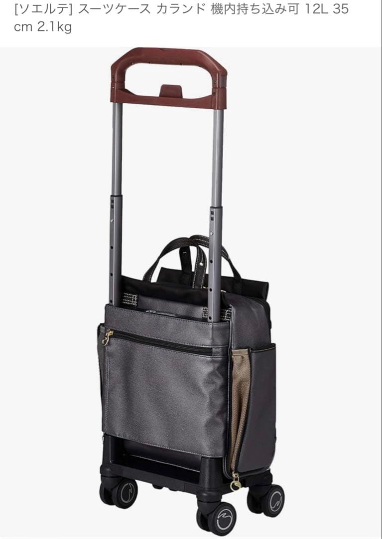 ACE ソエルテ　バック