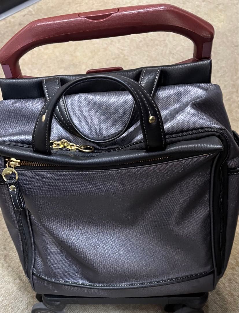 ACE ソエルテ　バック