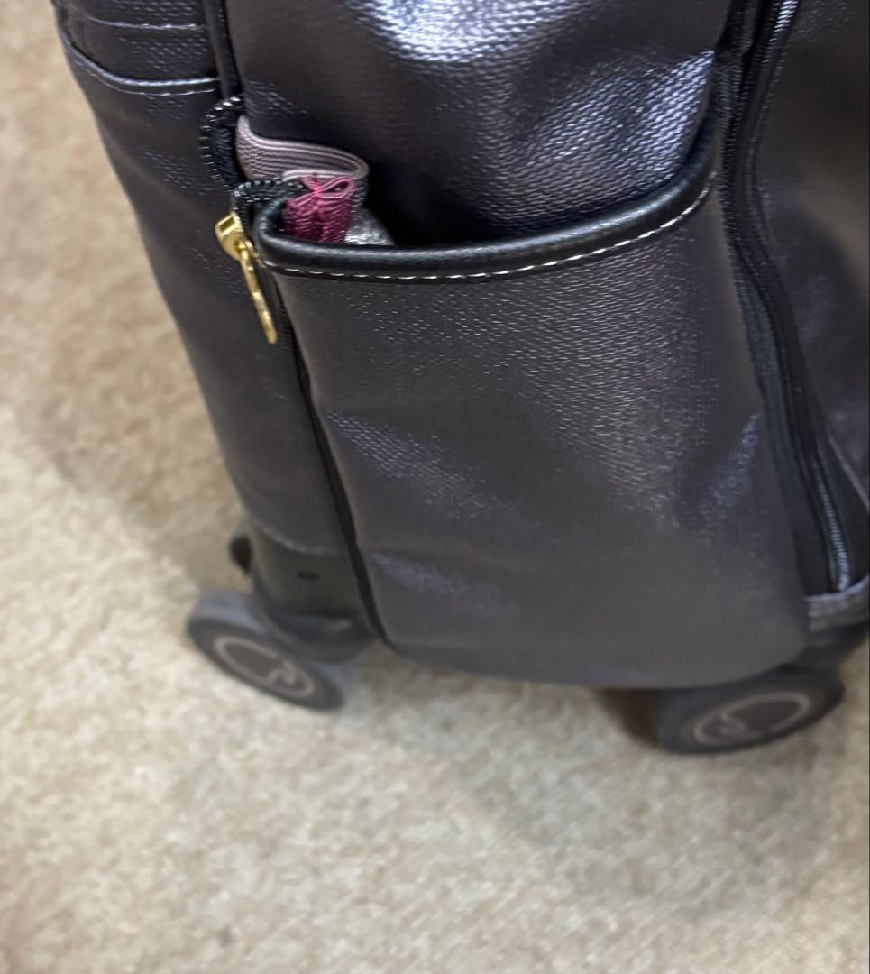 ACE ソエルテ　バック