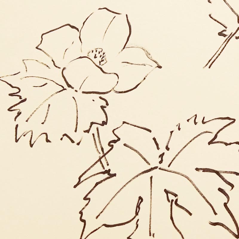 ☆坂本直行☆「 しらねあおい（庭の桜満開の日に）」ペン画 未使用！