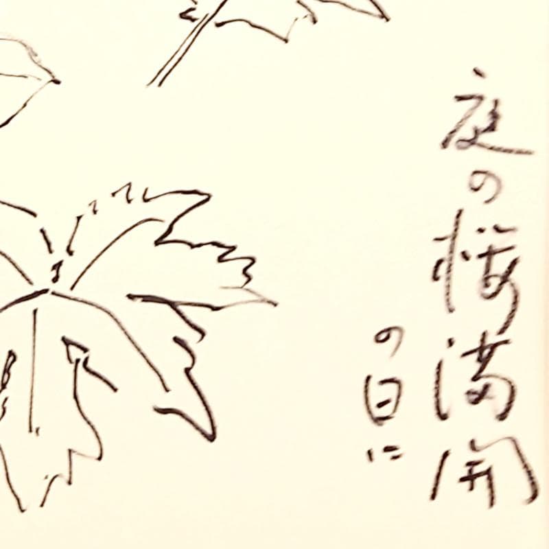 ☆坂本直行☆「 しらねあおい（庭の桜満開の日に）」ペン画 未使用！