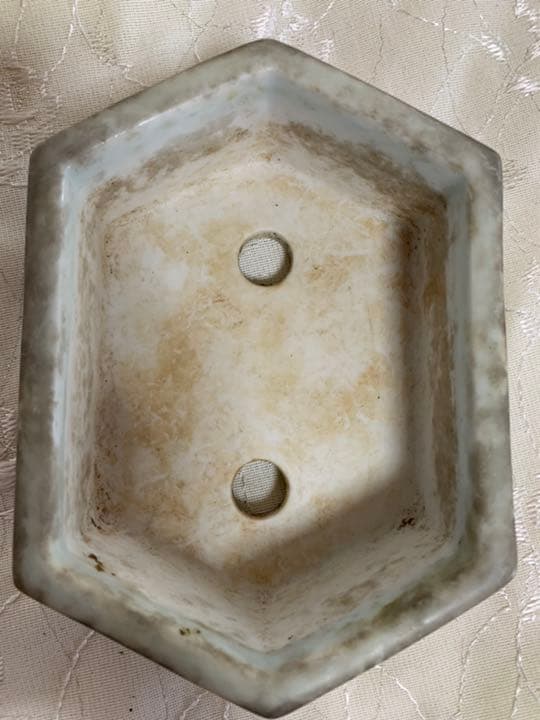 磯山　六角　絵鉢　盆栽鉢