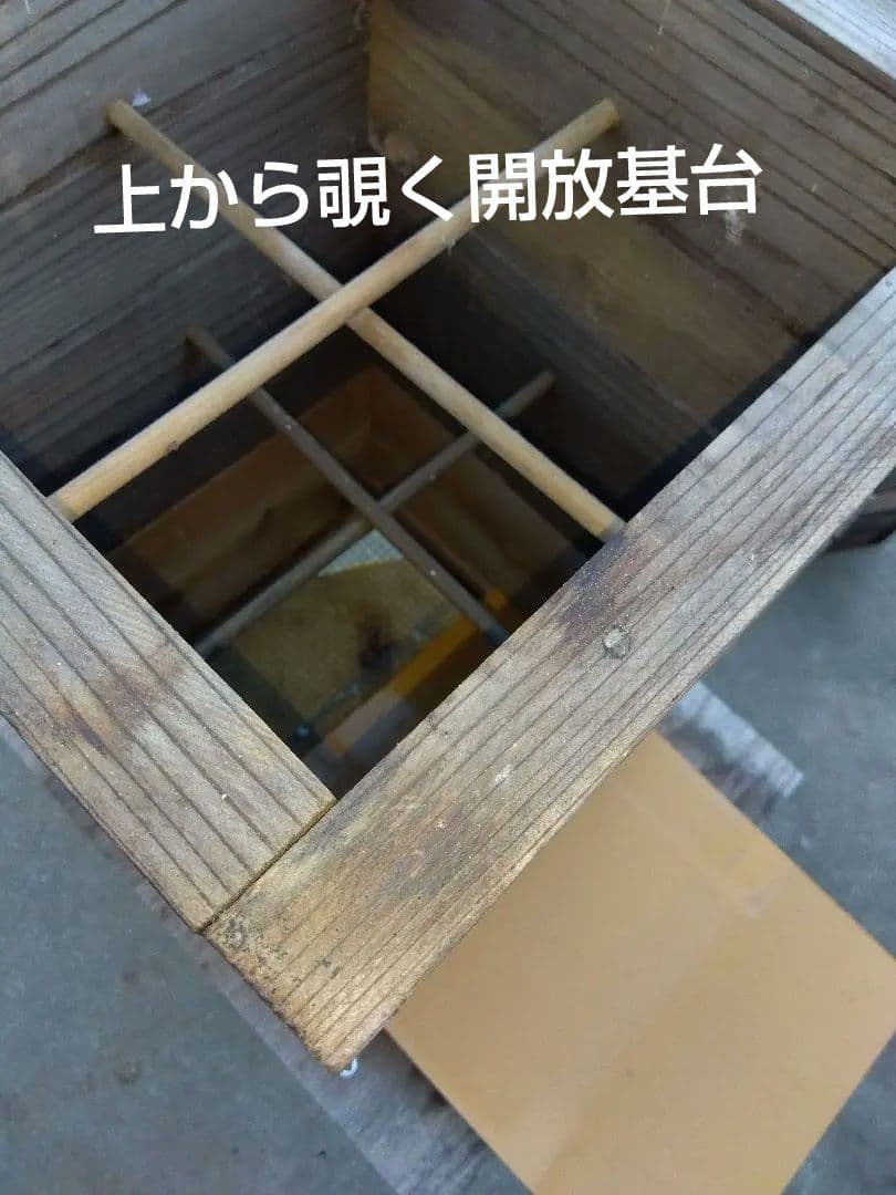 日本みつばちの巣箱 飼育箱 フルシーズン(厳冬猛暑)対応型箱