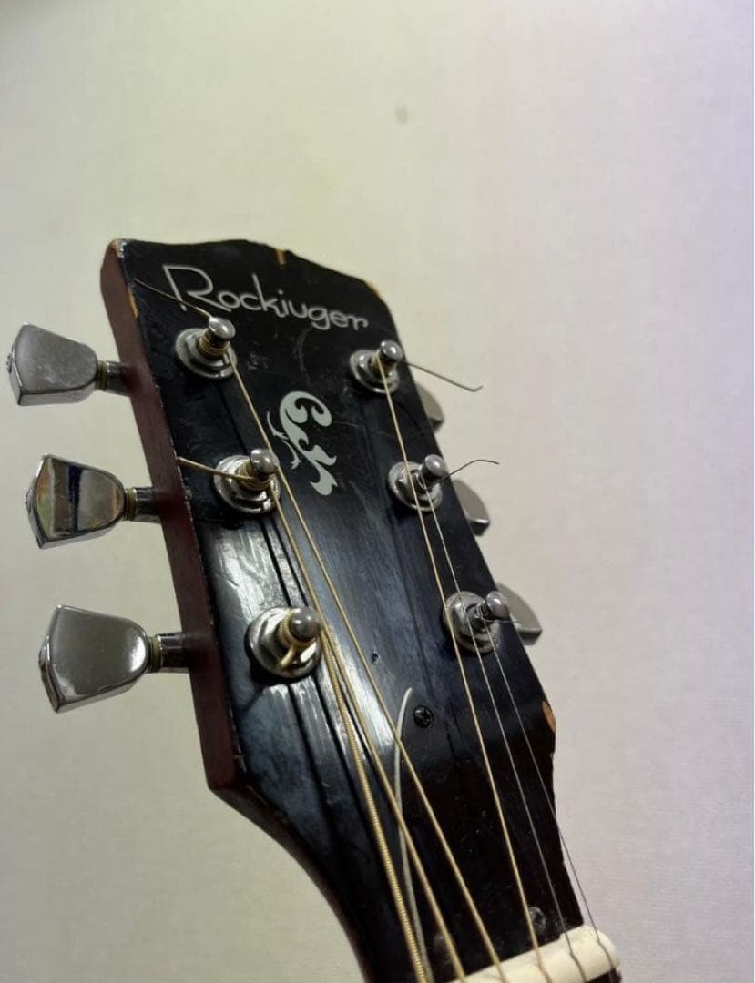 Rockiuger DH-010 アコースティックギター ソフトケースつき