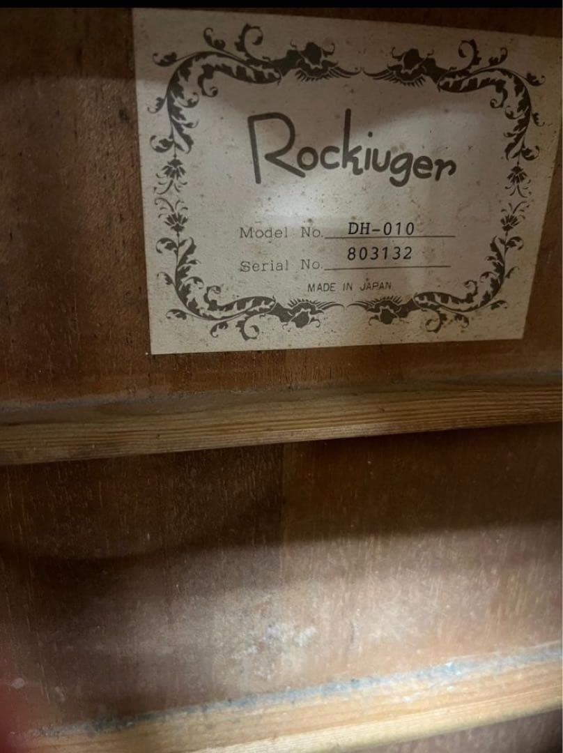Rockiuger DH-010 アコースティックギター ソフトケースつき