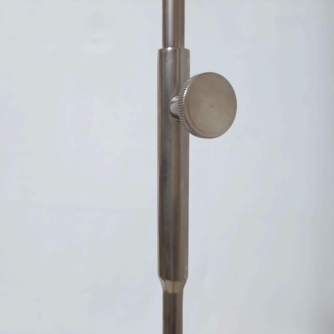 3B Scientific　人体模型　脊柱・脊椎骨　脊柱可動型モデル　骨格標本