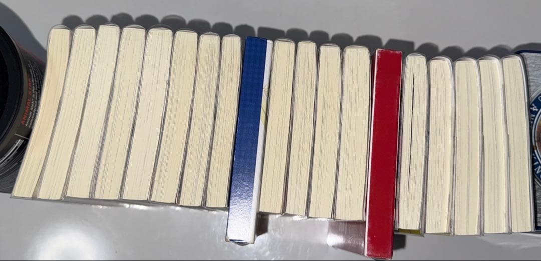 王輝　落第騎士の英雄譚　小説全巻セット　8、13、19特装版