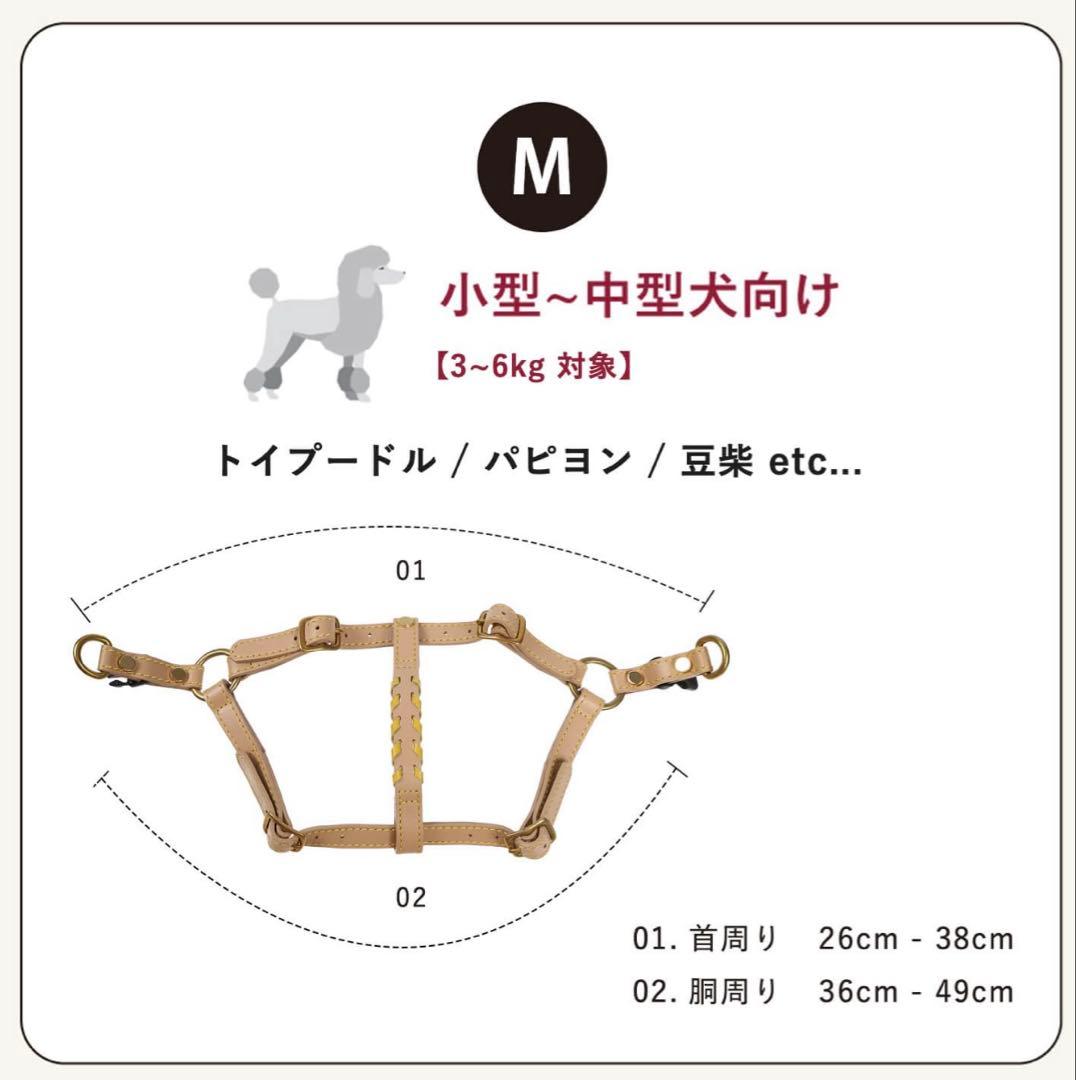 CITYDOG レザー ハーネスMサイズ&リードセット　アイボリー