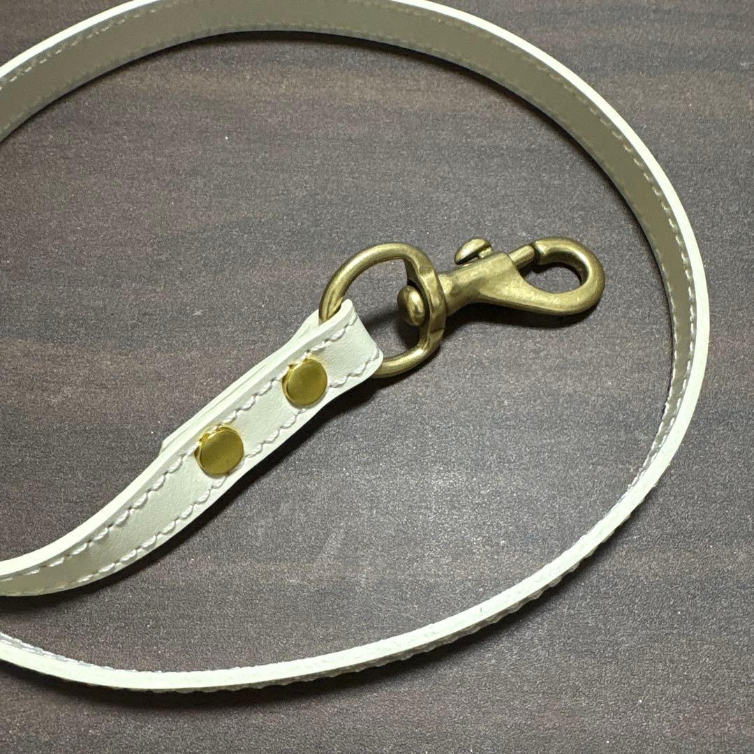 CITYDOG レザー ハーネスMサイズ&リードセット　アイボリー