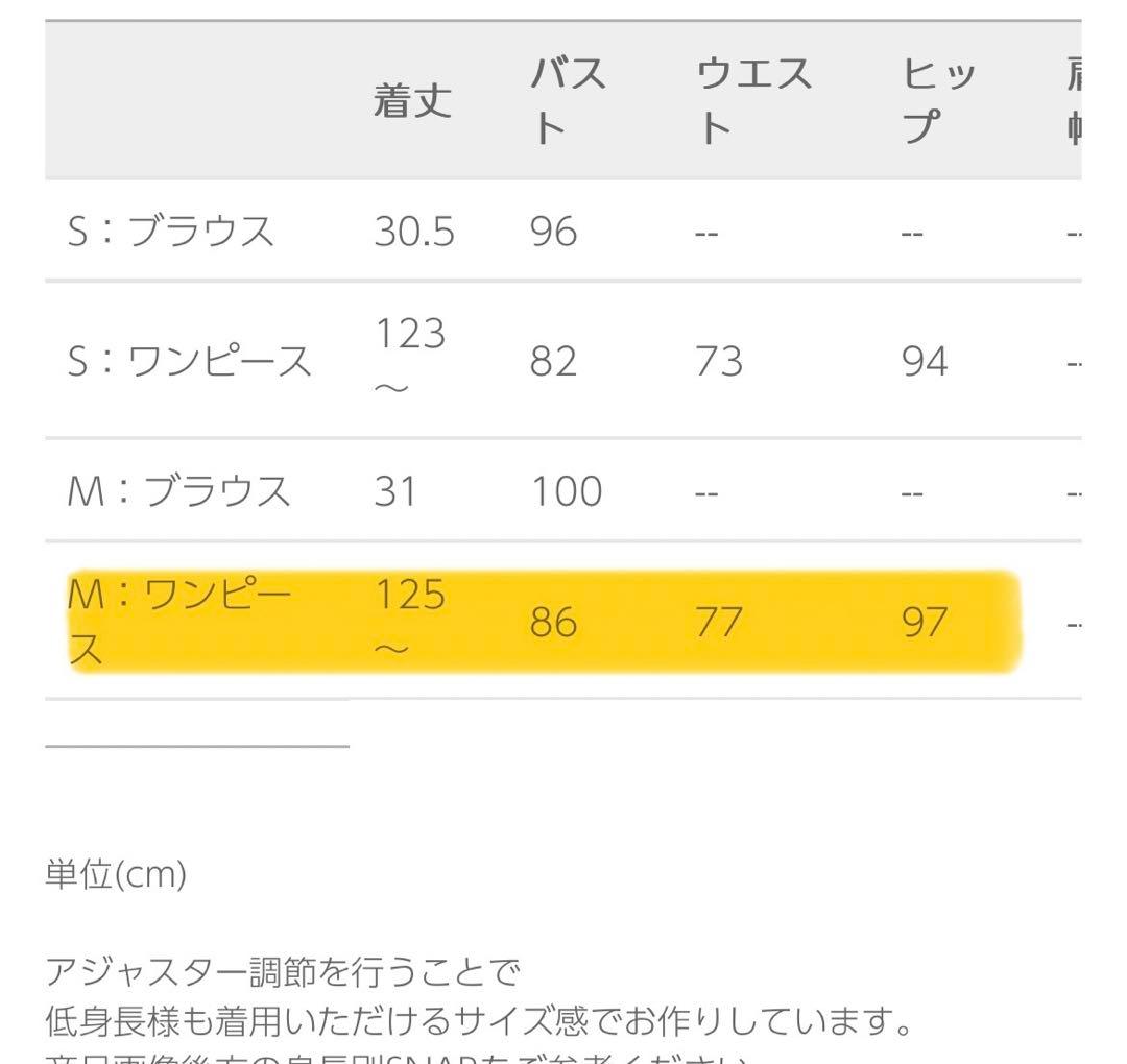 スーツ・フォーマル・ドレス LE'RURE Whole race layered dress