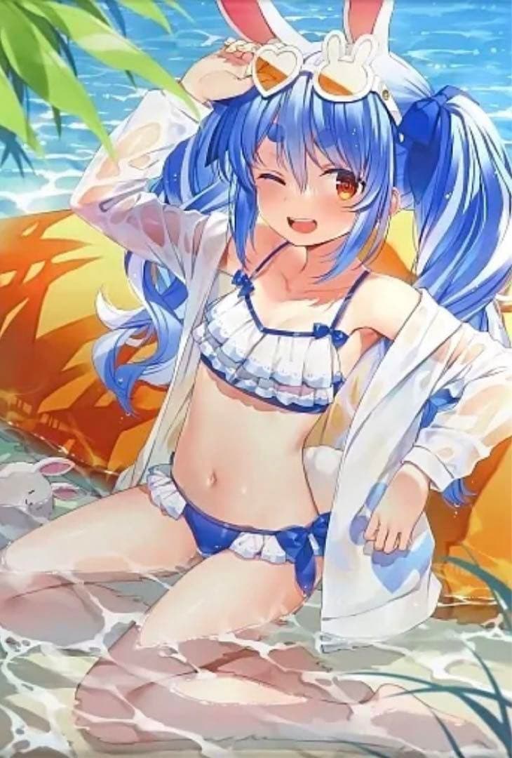 【新品未開封】c100兎田ぺこら & c101宝鐘マリン　タペストリー